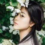 祝你一生安康海报
