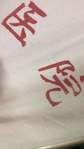 🌺菲🌺主播照片
