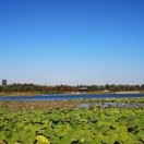 平凡的世界o8*的头像