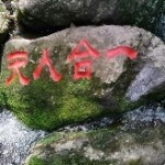 醉の菩提海报