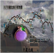 人间某处主播照片