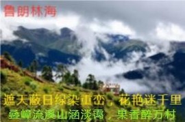 人间某处主播照片
