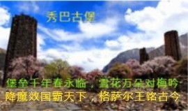 人间某处主播照片