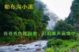 人间某处主播照片