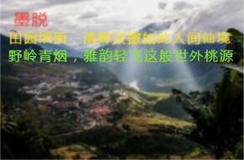 人间某处主播照片