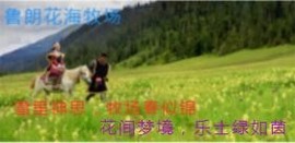 人间某处主播照片