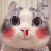 罒蓝狐