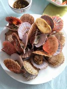 不许见白头海报