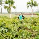 雅蕾v的头像