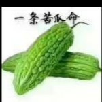 ！一条坚硬的苦瓜~