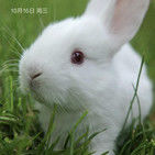 开心❤的小兔子的头像