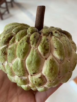 赫连护士主播照片