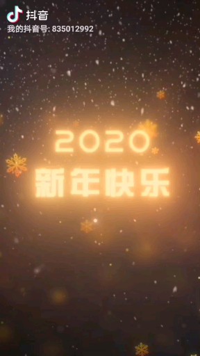 再见2019 2020等你归来