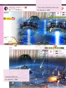 一只雁~主播照片
