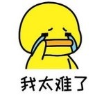 _仔崽，好想你