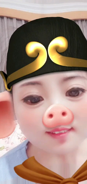 哈哈哈，猪🐷啊