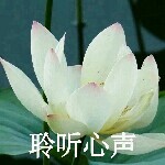 听.心╭╯海报