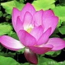 李玉龙u