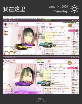 一只雁~主播照片