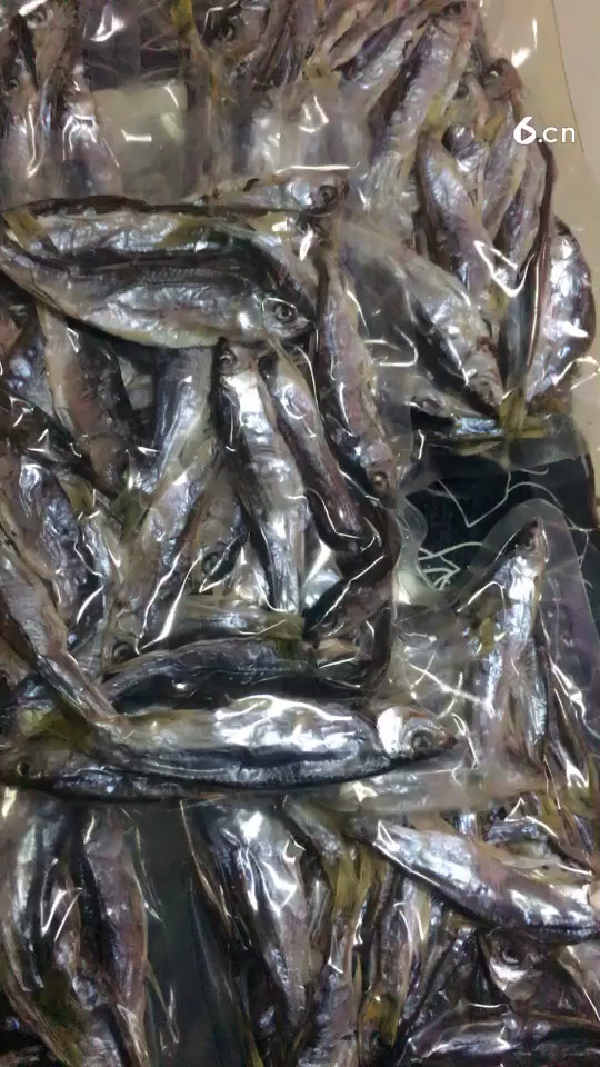 开守护 抽奖送咸鱼干