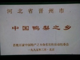 楹婪（张合）主播照片