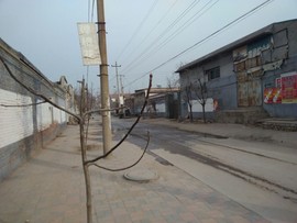 楹婪（张合）主播照片