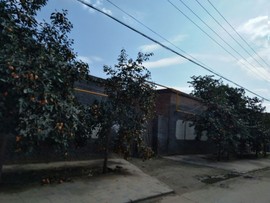 楹婪（张合）主播照片
