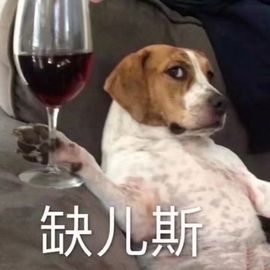 芋圆期末复习中主播照片