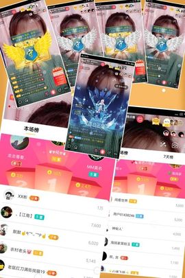 海鸽晚上见主播照片