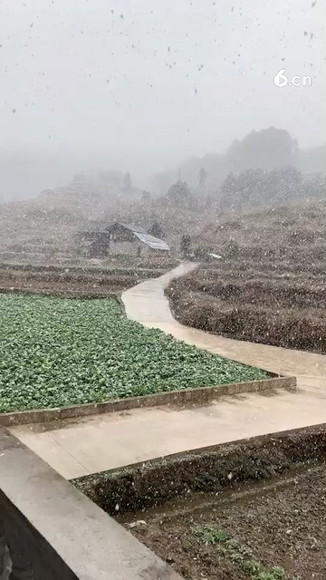 贵州下雪了