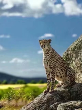 დ释怀დ主播照片