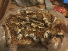 新人21😌主播照片