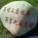 等你rfz