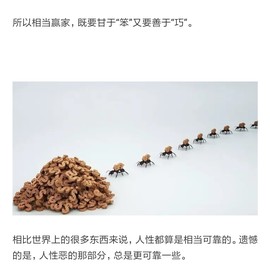 勇⑦气主播照片