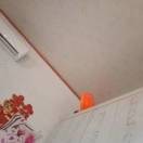 改云m
