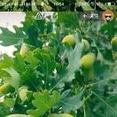 顺其自然1!s