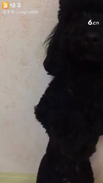 我的男朋友