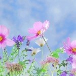 【爱恨我都输】的头像