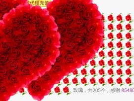 素雪27号周年啦主播照片
