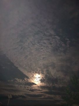 大雪ya主播照片