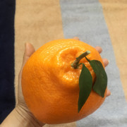 北京等等～海报