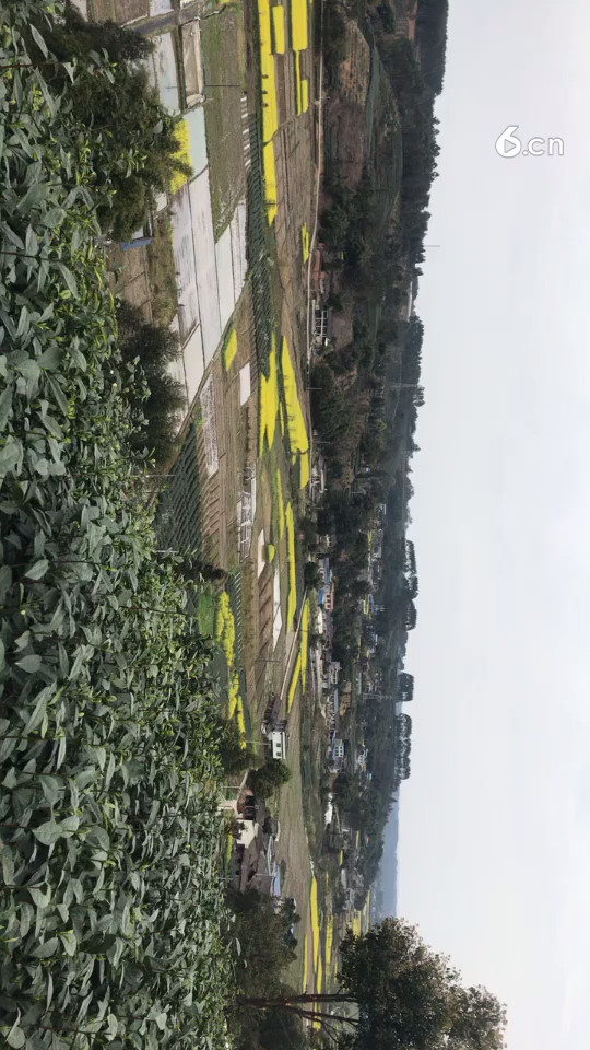 美丽