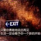 旧人不负s