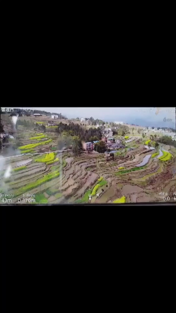 云阳