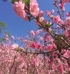 ♬默默✨小蛮宝☞🌜主播照片