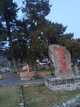 玉颜❤️等你来宠主播照片