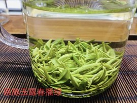 茶小拙主播照片