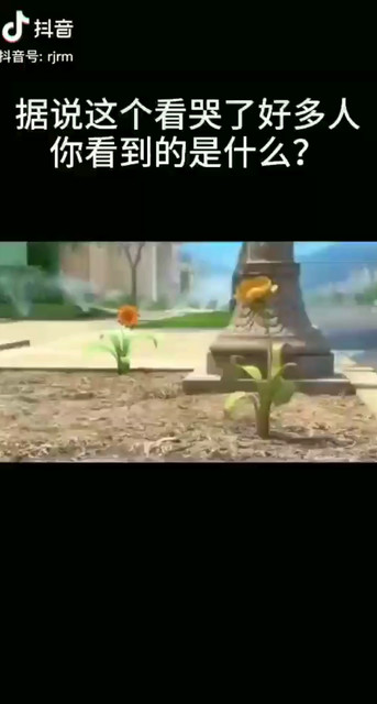 你能看到什么?《一》