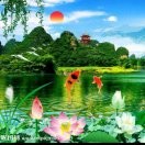 💕星光之星780💕