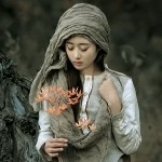 ：城南花开海报